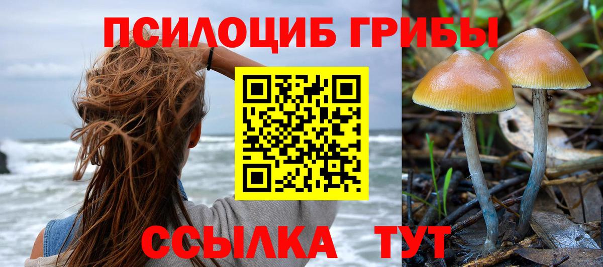 Галлюциногенные грибы MAGIC MUSHROOMS  Псилоцибиновые грибы MAGIC MUSHROOMS  Урюпинск  Вход с VPN 